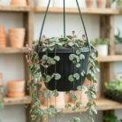 String Of Hearts (1)